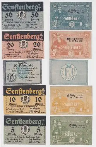 5 bis 50 Pfennig Banknote Notgeld Stadt Senftenberg 1917/1920 (141898)