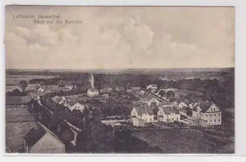 904450 AK Luftkurort Biesenthal - Blick auf die Kolonie 1911