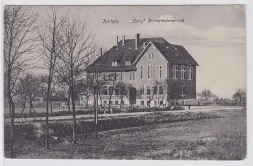 903213 Ak Rinteln an der Weser königliche Präparantenanstalt 1907