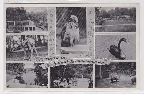 42661 Mehrbild Ak Tierpark in Dortmund-Brünninghausen 1956