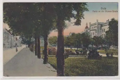 81006 Ak Stolp Słupsk in Pommern Partie an der Blumenstraße 1920