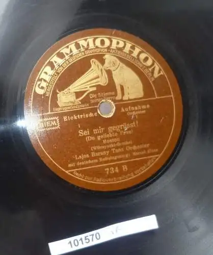 101170 Schellackplatte Grammophon "Sei mir gegrüßt" u.a. 1931