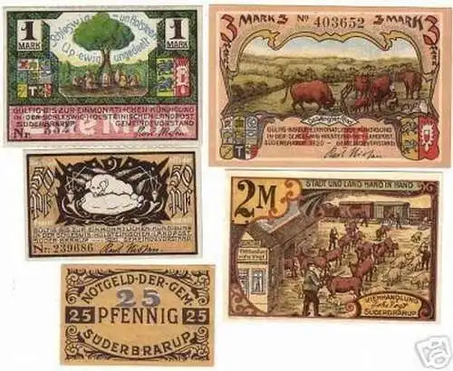 6 Banknoten Notgeld Viehhandlung Süderbrarup usw.