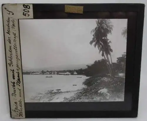 105188 seltenes Original Foto Glas Deutsche Kolonien Apia Samoa um 1910