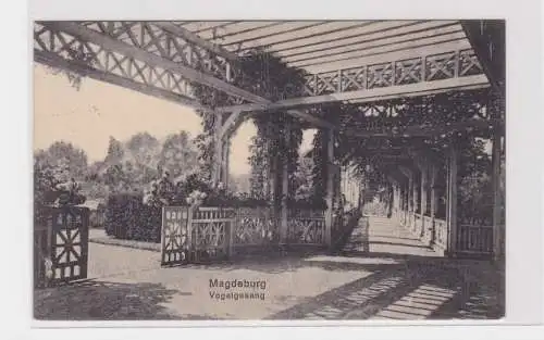 907018 Ak Magdeburg Vogelgesang Park mit Rosen-Pergola 1926