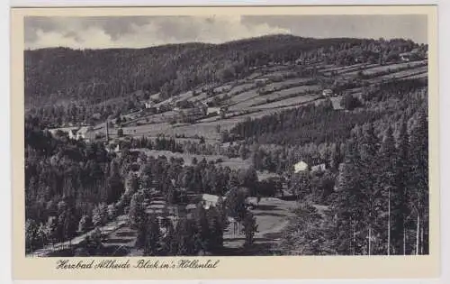 30443 Ak Bad Altheide Polanica-Zdrój Blick ins Höllental um 1940