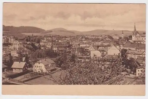 49168 Ak Bad Reinerz Duszniki-Zdrój Panorama um 1930