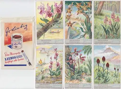 Liebigbilder Serie 1103 "Orchideen" komplett 1937 (109090)