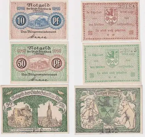 3 Banknoten Notgeld Stadt Schalkau in Thüringen 1918/1920 (104299)