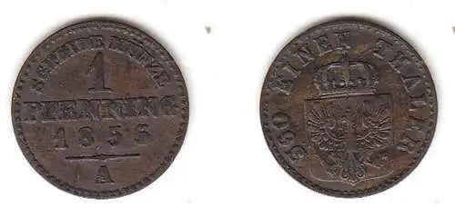 1 Pfennig Kupfer Münze Preussen 1855 A ss