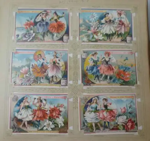 Liebigbilder Serie 395 "Blumen-Mädchen IV" komplett 1898 (13/ D8709iiii)