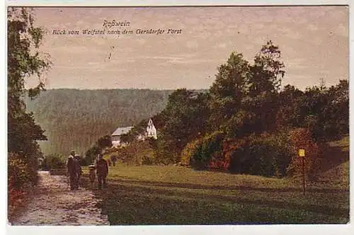 28475 Feldpost Ak Rosswein Blick vom Wolfstal 1917