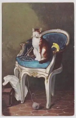 900432 Ak "Zweifelhafte Freunde"Katze und Kanarienvogel sitzen auf Stuhl um 1910