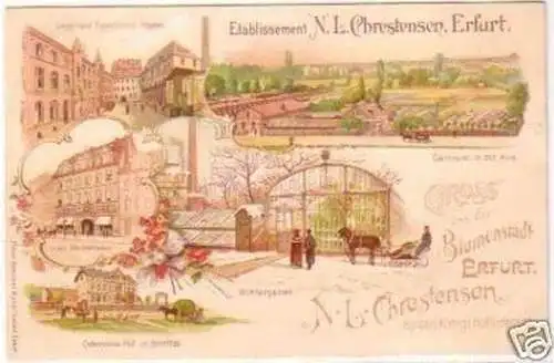 25244 Reklame Ak Lithographie Gruß aus Erfurt um 1900