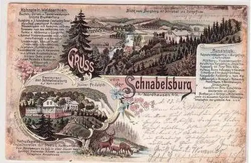 51215 Ak Lithographie Gruß von der Schnabelsburg bei Nordhausen 1898