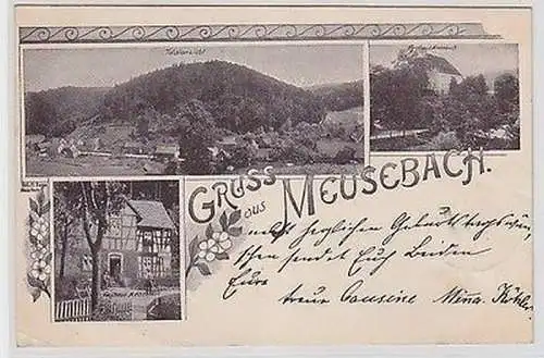 61205 Ak Gruß aus Meusebach Totalansicht, Forsthaus, Gasthaus 1902