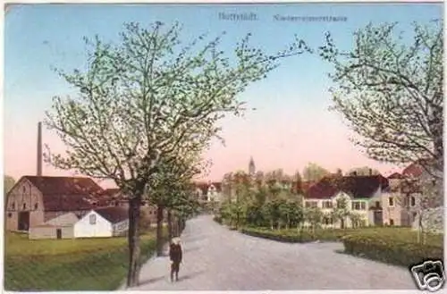 23282 Ak Buttstädt Niederreisserstrasse 1914