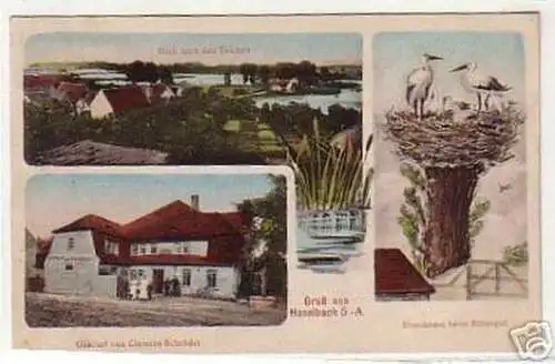 06954 Ak Gruß aus Haselbach S.-A. Gasthaus usw. 1915