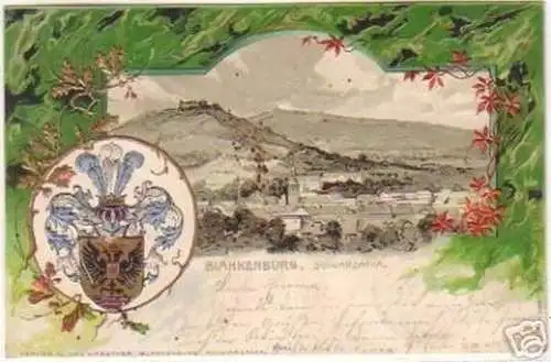 17500 Präge-Ak Blankenburg Schwarzathal 1902