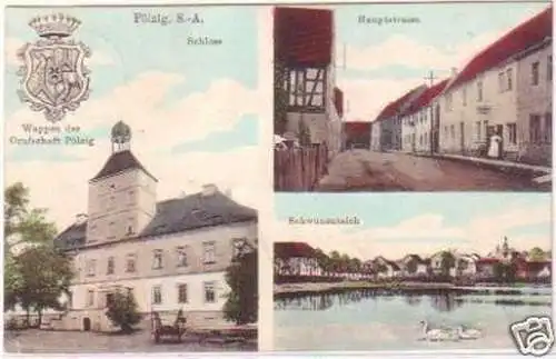 29470 Mehrbild Ak Pölzig in Sachsen Altenburg 1913