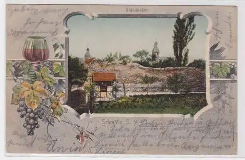 98730 Rahmen Ak Schmölln S.-A. Stadtmauer 1904