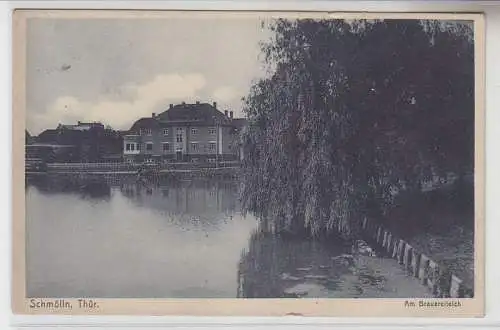 68528 Ak Schmölln in Thüringen am Brauereiteich 1929