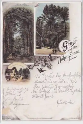 95284 Lithographie Ak Gruss von der Hohen Sonne Gasthof, Annathal usw. 1897