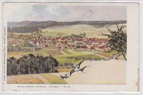 95532 Ak Bad Blankenhain Thüringen Panoramaansicht und 2 Schwalben um 1900
