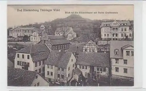 12379 Ak Bad Blankenburg Thüringer Wald um 1920