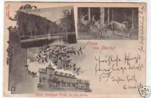 34403 Mehrbild Ak Gruß aus Oberhof Hotel 1902