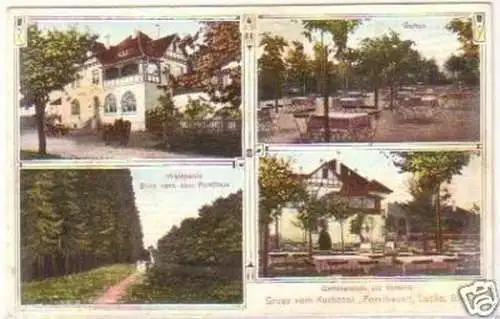 20213 Ak Lucka Gruss vom Kurhotel Forsthaus um 1910