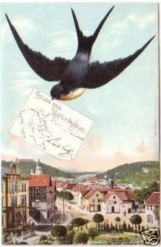 23814 Schwalben Ak Gruss aus Waltershausen 1905