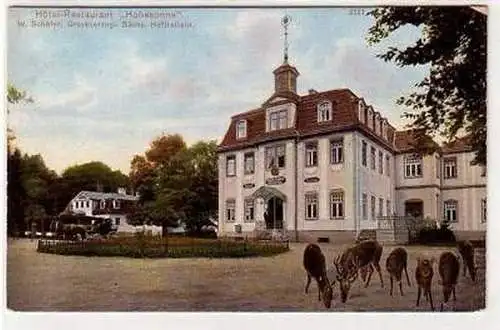 43139 Ak Eisenach Hotel Restaurant "Hohesonne" um 1910