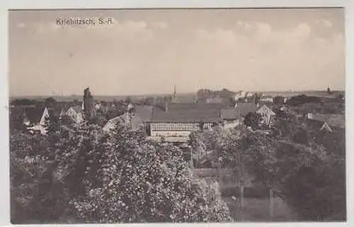 43353 Ak Kriebitzsch S.-A. Totalansicht um 1910