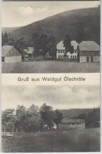 92280 Mehrbild Ak Gruß aus Waldgut Ölschröte Thüringen um 1920