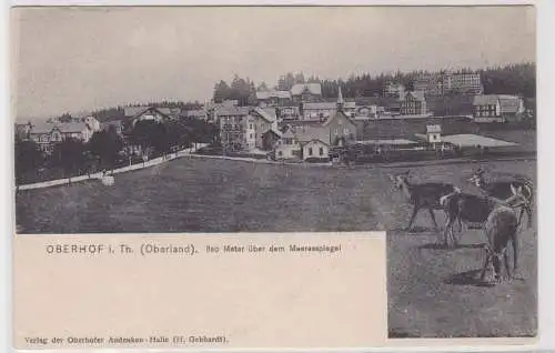 99822 Ak Oberhof in Thüringen (Oberland) 820 M.ü.d.M. um 1910