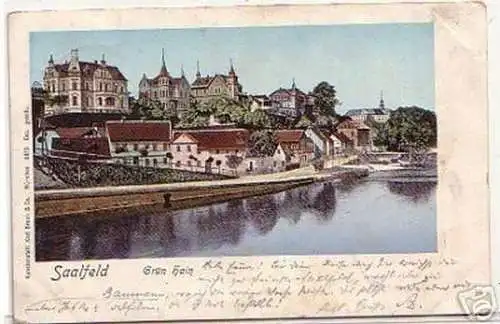 17675 Ak Saalfeld an der Saale Grün Hain 1901