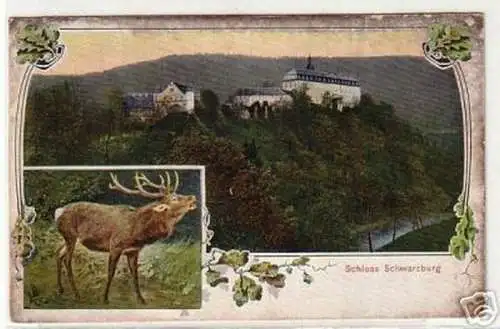 13142 Ak Schloss Schwarzburg in Thüringen 1907