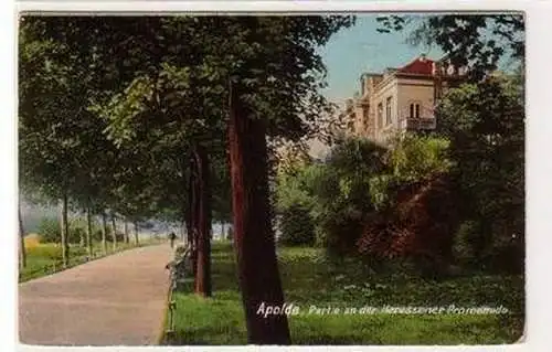 55465 Ak Apolda Partie an der Heressener Promenade 1913