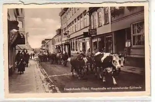 38519 Ak Friedrichroda Hauptstraße Kuhherde um 1960