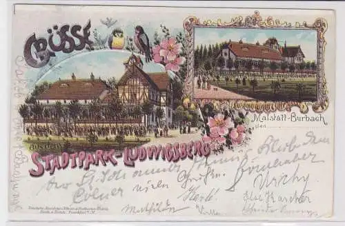 54629 Ak Lithographie Grüsse aus dem Stadtpark-Ludwigsburg in Malstatt-Burbach