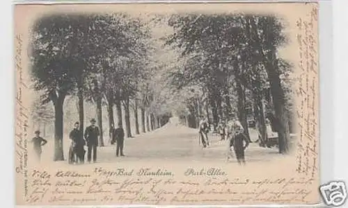 25572 Ak Bad Nauheim Park Allee 1898