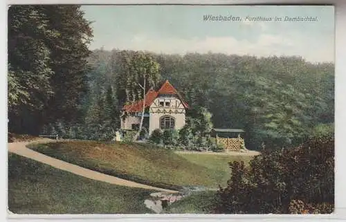 70083 Ak Wiesbaden Forsthaus im Dambachtal 1910