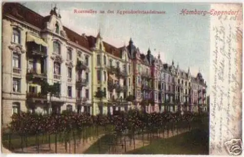 15462 Ak Hamburg-Eppendorf Rosenallee 1905