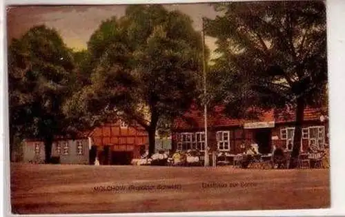 44573 Ak Molschow Gasthaus zur Sonne 1919