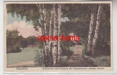 33686 Ak Ziegenhals Birkenallee am Eingang d. Etablissement 'Weißes Schloß' 1930