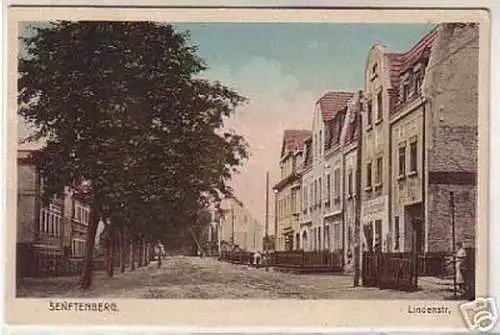 07199 Ak Senftenberg Lindenstrasse um 1920