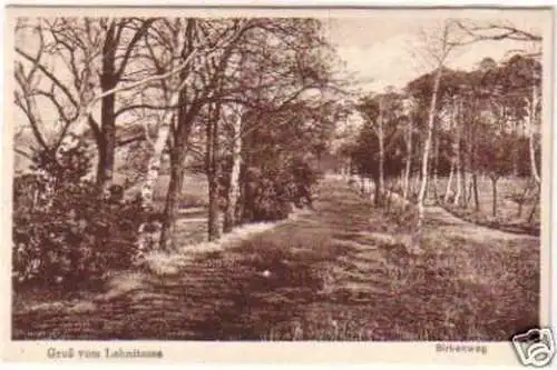 24956 Ak Gruß vom Lehnitzsee Birkenweg um 1930