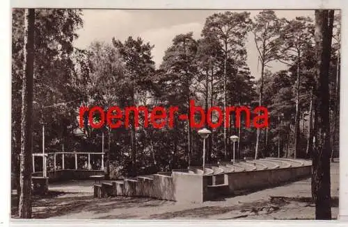 78871 Foto Ak Pionierlager 'M.I. Kalinin' am Frauensee, Freilichtbühne um 1950