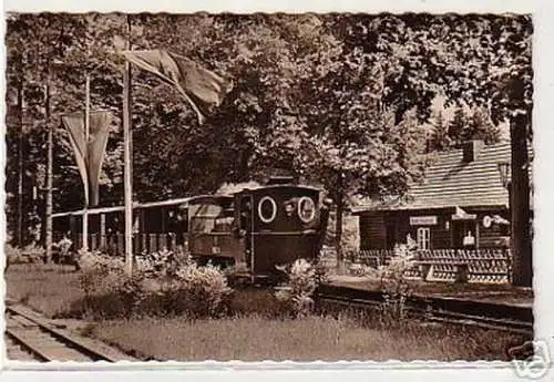 08888 Ak Cottbus Pioniereisenbahn 1961